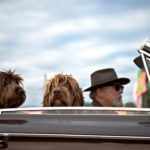 Auto Insurance for Seniors: A Detailed Coverage and Policy Guide 4 auto insurance for seniors
